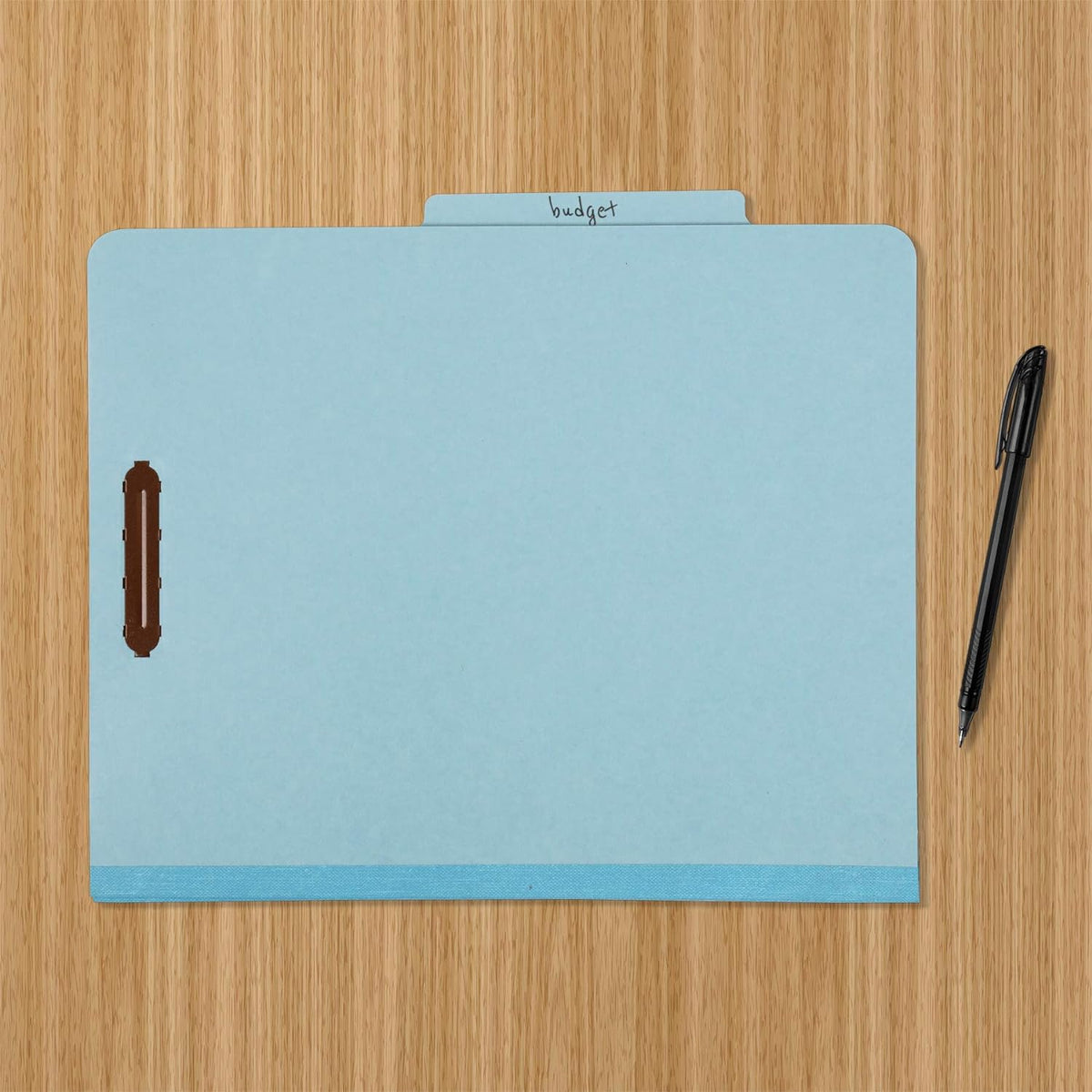 Amazon Basics Classification Folder- 100% Recycled, 1 Divider, 2" Embedded, 10 Count per Box, 12.20 x 10.61 inch (Letter), Light Blue