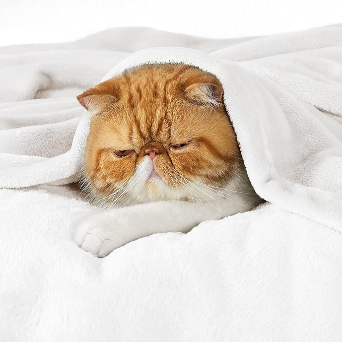 Bedsure Fleece Bed Blankets Full Size White - Soft Lightweight Plush Fuzzy Cozy Luxury Blanket Microfiber, 84x90 inches