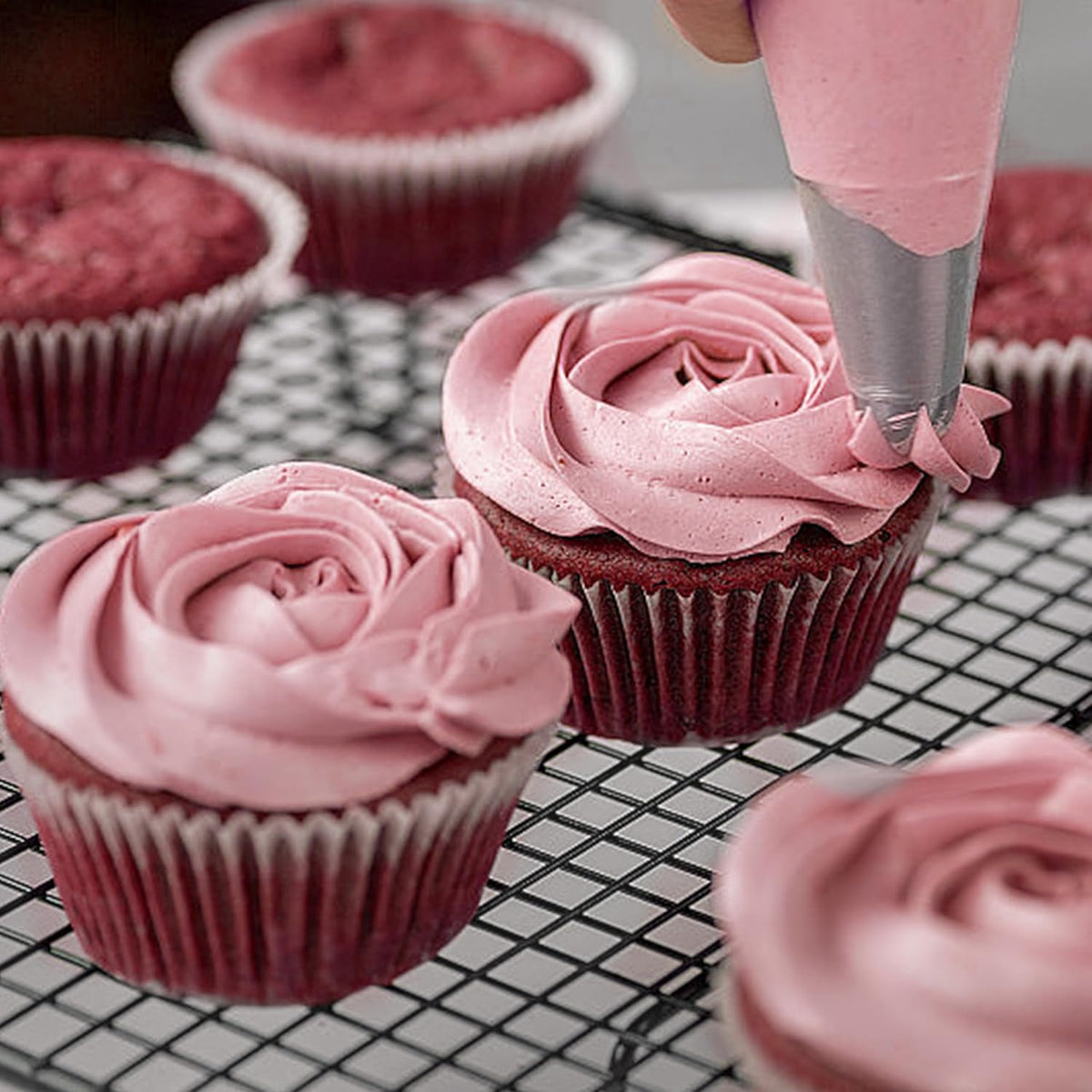 5PCS Large Piping Tips Set, COKUMA Stainless Steel Cake Decorating Tips, Frosting Icing Tips for Cupcakes, Cake, Cookie and Decorating (Dishwasher Safe)