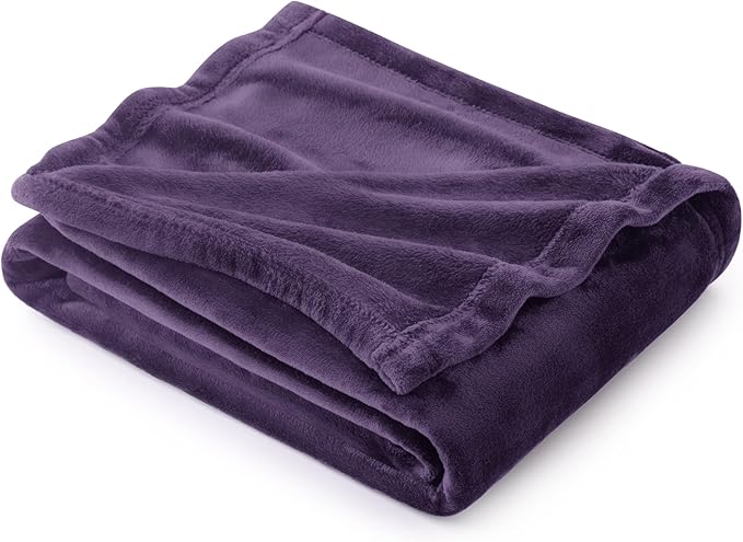 Bedsure Fleece Throw Blanket Purple - 300GSM Blankets for Couch, Sofa, Bed, Soft Lightweight Plush Cozy Throws for Toddlers, 50x60 inches
