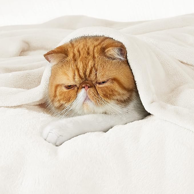 Bedsure Fleece Blanket California King - Lightweight Plush Fuzzy Cozy Soft Blankets for Bed, Cream, 102x96 inches