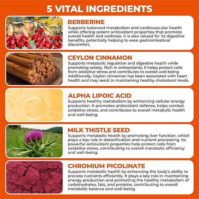 Berberine Supplement with Ceylon Cinnamon, Chromium, Alpha Lipoic Acid, Metabolic Care Supports Metabolism & Cardiovascular Health and Immune System, Helps Maintain Steady Energy Levels