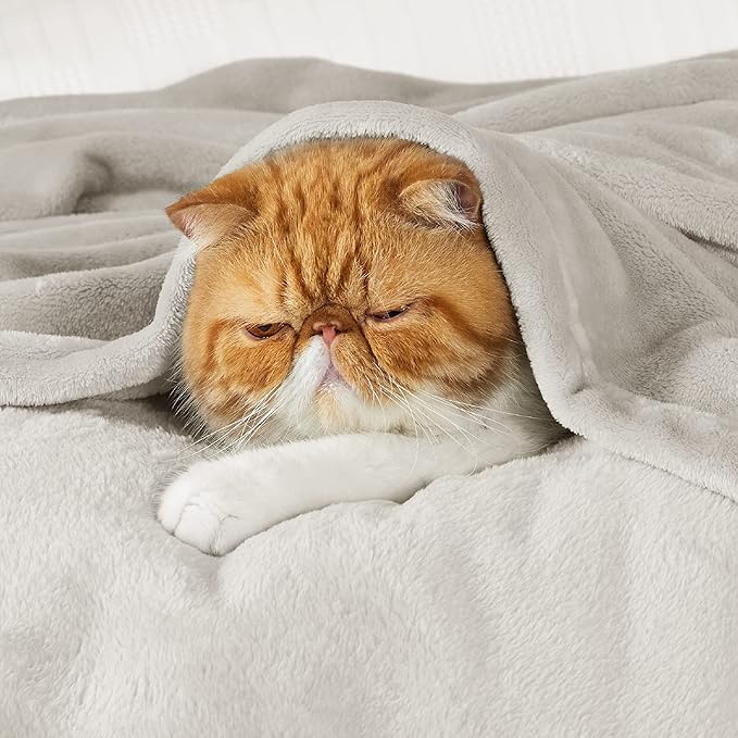 Bedsure Fleece Throw XL Blanket Linen - 300GSM Soft Lightweight Plush Cozy Blankets for Bed, Sofa, Couch, Travel, Camping, 50x70 inches