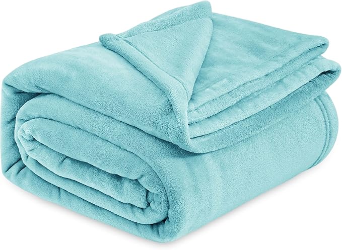 Bedsure Fleece Bed Blankets Queen Size River Blue - Soft Lightweight Plush Fuzzy Cozy Luxury Blanket Microfiber, 90x90 inches
