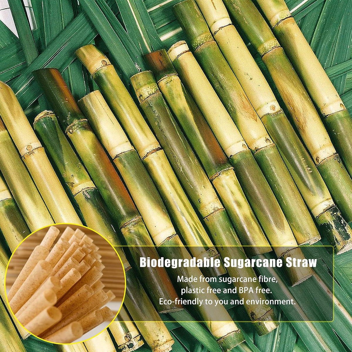5 Inch Short Biodegradable Cocktail Straws 200 pcs Compostable Cocktail Stirrers Straws Made from 100% Sugarcane Fiber A Plasticless Sturdy Drinking Straws for Hot and Cold Drinks Not Foggy