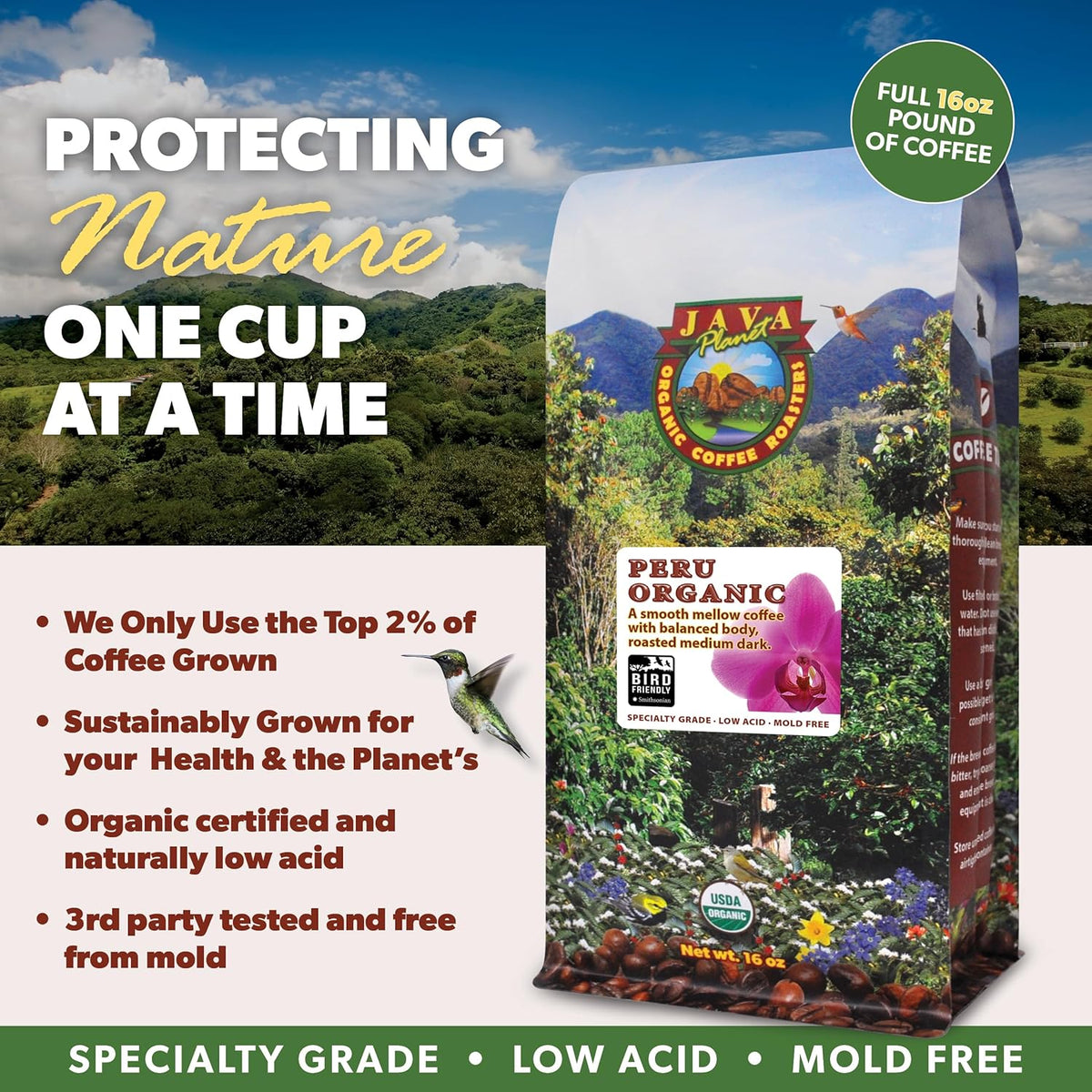 Low Acid Organic Coffee – Whole Bean, Mold-Free & Stomach Friendly by Java Planet, Peruvian Single Origin Coffee, Medium Dark Roast, Smooth Full Flavored, 2x1LB Bag
