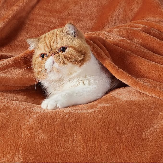 Bedsure Fleece Throw XL Blanket Burnt Orange - 300GSM Soft Lightweight Plush Cozy Blankets for Bed, Sofa, Couch, Travel, Camping, 50x70 inches