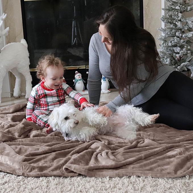 Bedsure Fleece Bed Blankets Queen Size Mocha Brown - Soft Lightweight Plush Fuzzy Cozy Luxury Blanket Microfiber, 90x90 inches