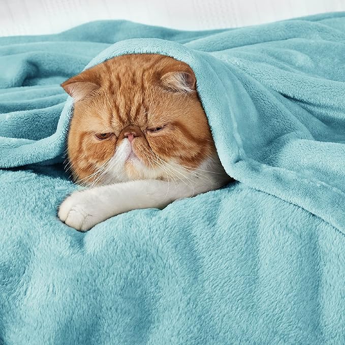 Bedsure Fleece Blankets Twin Size River Blue - 300GSM Lightweight Plush Fuzzy Cozy Soft Blanket for Bed, Sofa, Couch, Travel, Camping, 60x80 inches