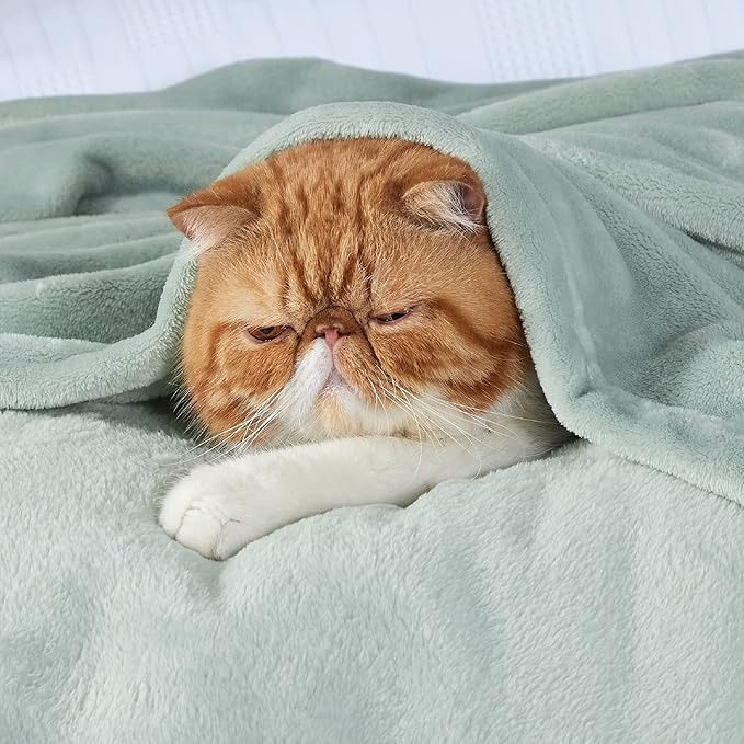 Bedsure Sage Green Fleece Blankets Queen Size - 280GSM Soft Lightweight Plush Cozy Blanket for Bed, Sofa, Couch, Travel, Camping