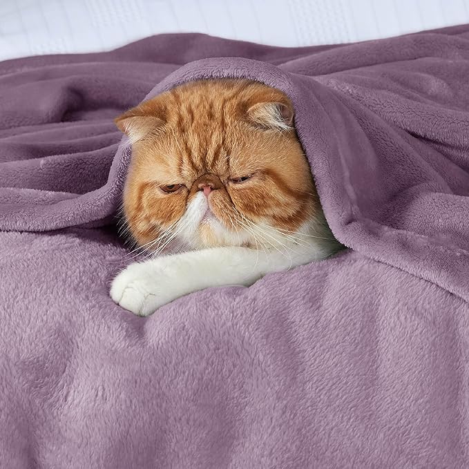 Bedsure Fleece Bed Blankets Queen Size Fog Purple - Soft Lightweight Plush Fuzzy Cozy Luxury Blanket Microfiber, 90x90 inches