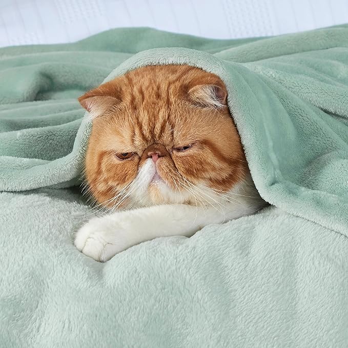 Bedsure Sage Green Fleece Throw Blanket - 300GSM Soft Lightweight Plush Cozy Blankets for Bed, Sofa, Couch, Travel, Camping