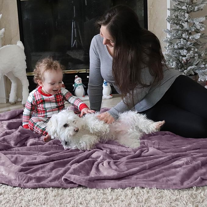 Bedsure Fleece Throw Blanket for Couch Fog Purple - Lightweight Plush Fuzzy Cozy Soft Blankets and Throws for Sofa, 50x60 inches