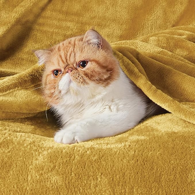 Bedsure Fleece Blanket Queen Blanket Gold Yellow - Bed Blanket Soft Lightweight Plush Fuzzy Cozy Luxury Microfiber, 90x90 inches
