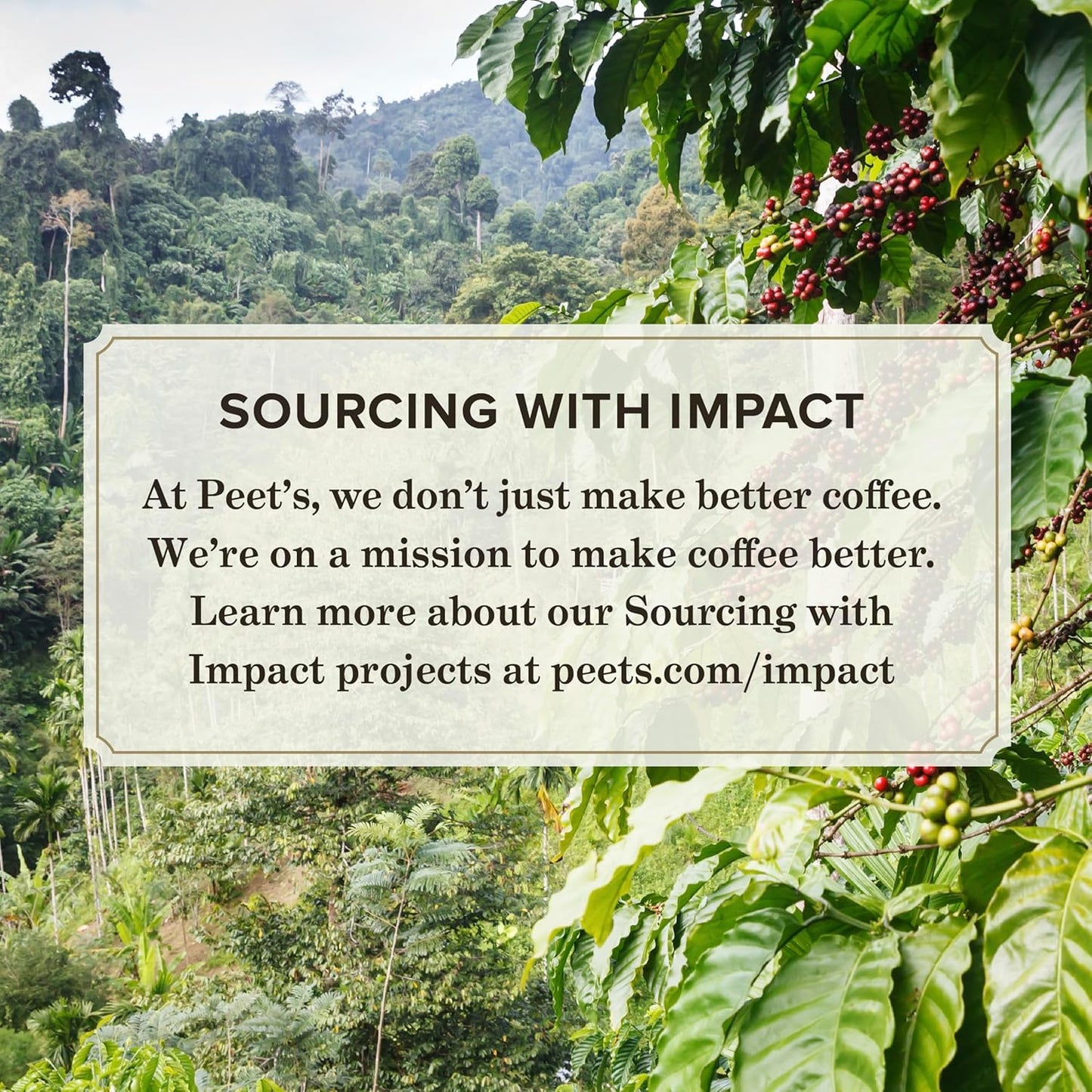 Peet's Coffee, Medium Roast Ground Coffee - Off the Grid Blend 10.5 Ounce Bag