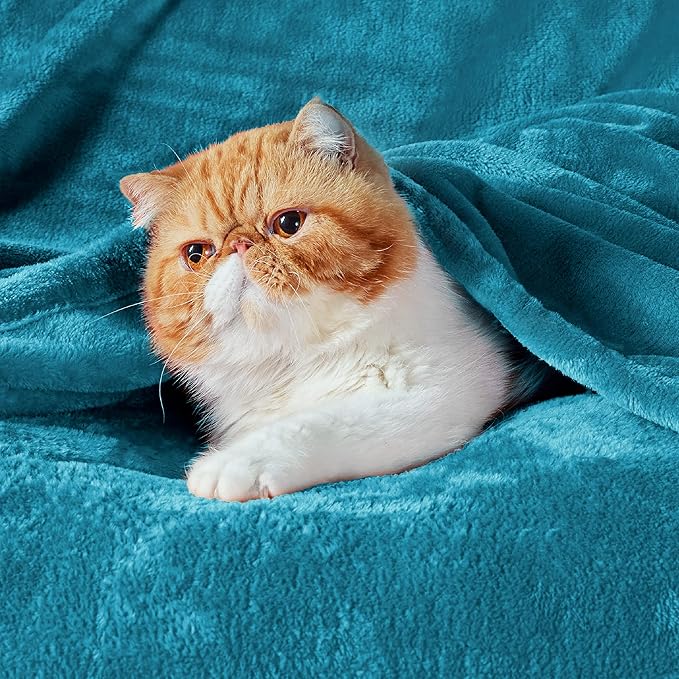 Bedsure Fleece Throw Blanket Teal - 300GSM Blankets for Couch, Sofa, Bed, Soft Lightweight Plush Cozy Throws for Toddlers, 50x60 inches
