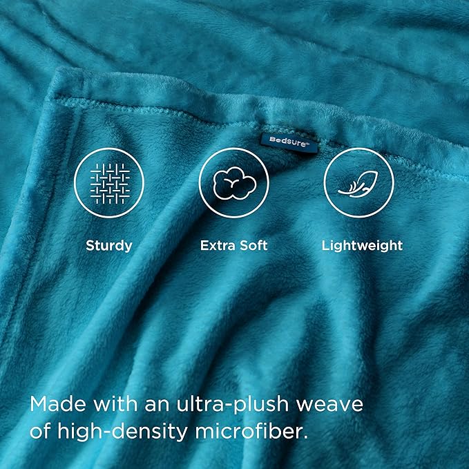 Bedsure Bedding Fleece Blanket for Girls and Boys - Soft Cozy Cute Small Throw Blankets for Travel, 43x55 Inches,Teal Blue