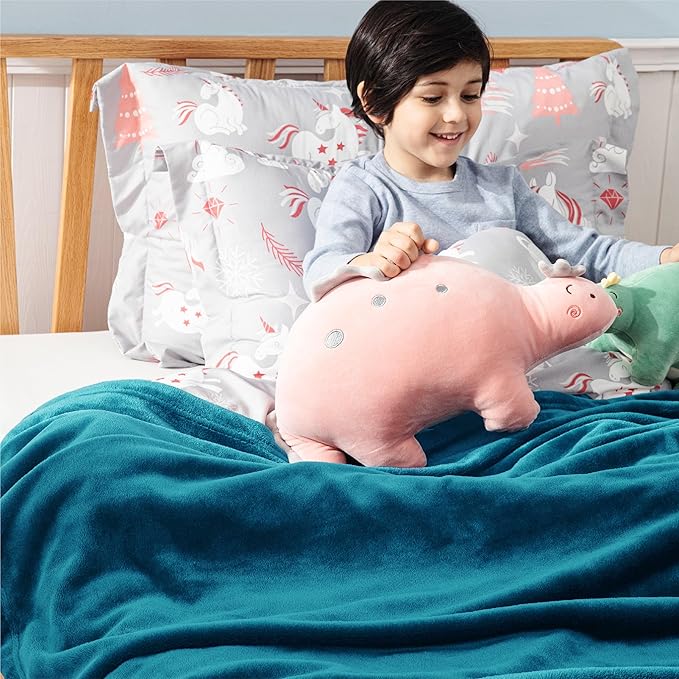 Bedsure Bedding Fleece Blanket for Girls and Boys - Soft Cozy Cute Small Throw Blankets for Travel, 43x55 Inches,Teal Blue