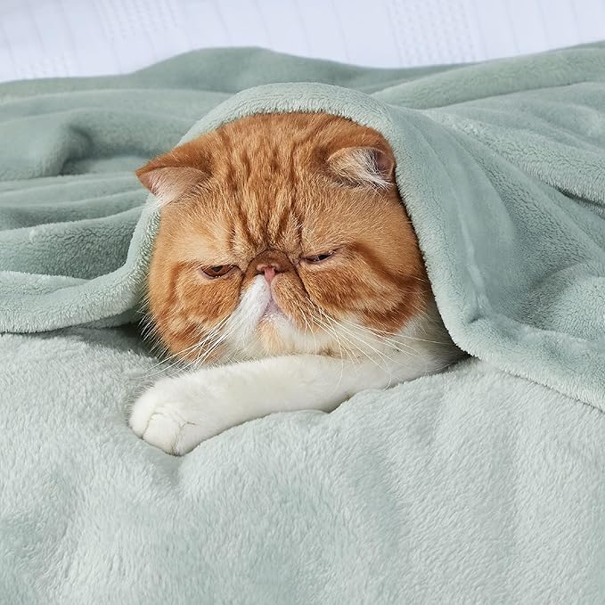 Bedsure Fleece Bed Blankets Full Size Sage Green - Soft Lightweight Plush Fuzzy Cozy Luxury Blanket Microfiber, 84x90 inches