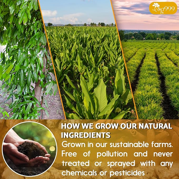 60 Bags Premium Turmeric Ginger Cinnamon Tea, Improve Digestion, Support Brain, Weight, Skin and Sleep, Eco-Conscious Tea Bags and Premium Natural Ingredients. Turmeric Ginger Herbal Tea. No Sugar, No Caffeine, No Gluten, Vegan.