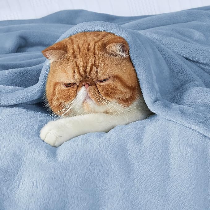 Bedsure Fleece Blankets Twin Size Light Blue - 300GSM Lightweight Plush Fuzzy Cozy Soft Blanket for Bed, Sofa, Couch, Travel, Camping, 60x80 inches