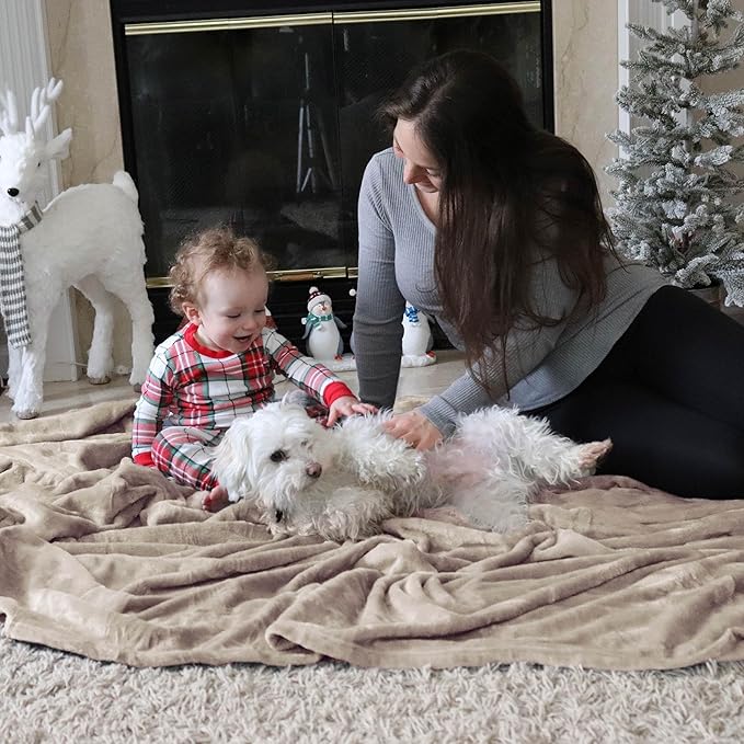 Bedsure Fleece Bed Blankets Queen Size Oxford Tan - Soft Lightweight Plush Fuzzy Cozy Luxury Blanket Microfiber, 90x90 inches