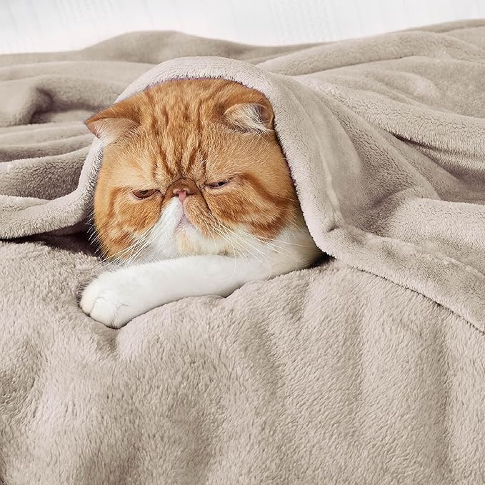 Bedsure Fleece Blankets Twin Size Oxford Tan - 300GSM Lightweight Plush Fuzzy Cozy Soft Blanket for Bed, Sofa, Couch, Travel, Camping, 60x80 inches