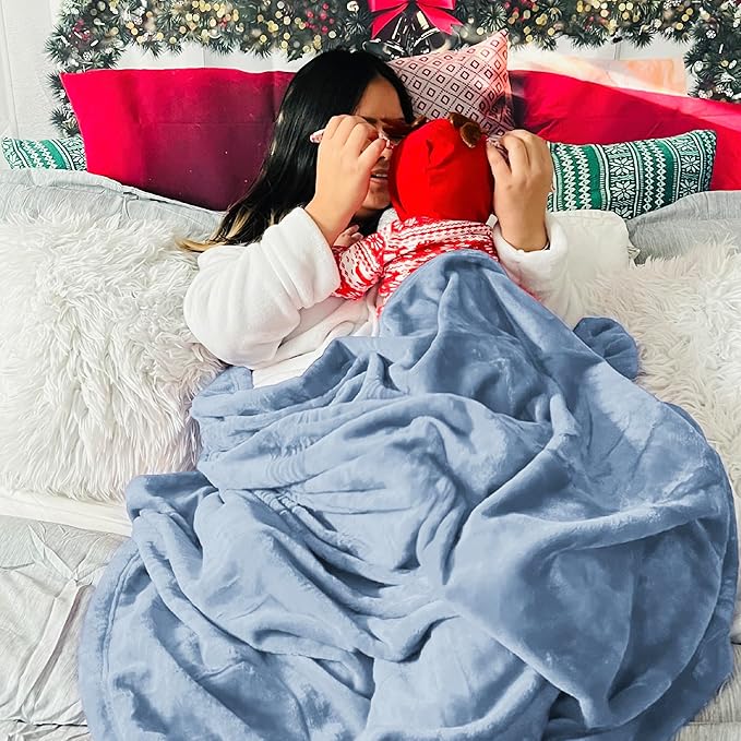 Bedsure Fleece Bed Blankets Queen Size Light Blue - Soft Lightweight Plush Fuzzy Cozy Luxury Blanket Microfiber, 90x90 inches